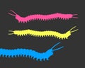 Colorful Millipede Worms Royalty Free Stock Photo