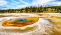 The colorful minerals in the Chromatic Pool in the Upper Geyser Basin in Yellowstone National P Royalty Free Stock Photo