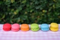 Colorful mini macarons