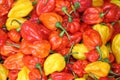 Colorful mini peppers Royalty Free Stock Photo