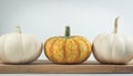 the colorful of mini pumpkins isolate on white background