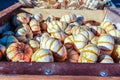 Colorful miniature pumpkins for sale at a Halloween pumpkin patch. Royalty Free Stock Photo