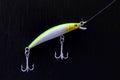 Colorful minnow fishing lure