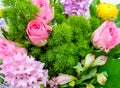 Colorful mix of flowers Royalty Free Stock Photo