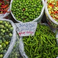 A colorful mix of the freshest chili and bell peppers Royalty Free Stock Photo