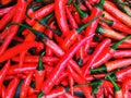 colorful mix of the freshest and hottest red chili peppers.