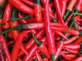 colorful mix of the freshest and hottest red chili peppers.