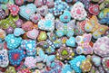 Colorful Mix Of Honey Cookies ,heart , butterfly shaped