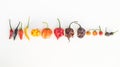 A colorful mix of the hottest chili peppers Royalty Free Stock Photo
