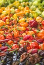 A colorful mix of the hottest chili peppers