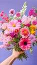 Colorful Mixed Bouquet Held in Hand Against Purple Background. Flower present. Summer garden bouquet Royalty Free Stock Photo