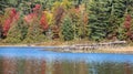 Colorful autumn.leaves and grey deadwood behind the blue river water.