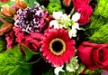 Colorful mixed spray, Floral Bouquet, many different colors