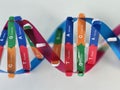 Colorful model of DNA structure displaying nucleotide bases and their connections concept Royalty Free Stock Photo