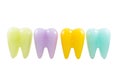Colorful model teeth