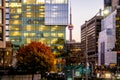 Colorful modern buildings of downtown Toronto and CN Tower at night - Toronto, Ontario, Canada