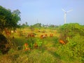 Colorful modern rustic idyll pastoral in India Wind farm Royalty Free Stock Photo