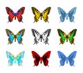 Colorful Monarch butterfly collection vector illustration with open wings.