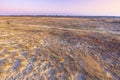 Colorful moorland landscape, national park Hoge Veluwe Holland Royalty Free Stock Photo