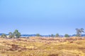 Colorful moorland landscape, national park Hoge Veluwe Holland Royalty Free Stock Photo