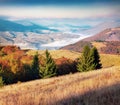 Colorful morning scene of Carpathians, Krasna ridge, Ukraine, Europe. Sunny autumn scene of mountain village. Beauty of nature