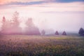 Colorful morning scene of mountain valley. Unbelievable summer sunrise in Carpathian mountains, Rika village location, Transcarpat Royalty Free Stock Photo