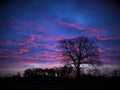 A colorful morning sky with a tree Royalty Free Stock Photo