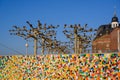 Colorful mosaic wall on shore to River Rhine in Dusseldorf City, Germany