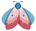 Colorful moth with decorative spot ornament on wings