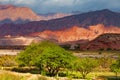 Colorful mountain landscape with chiaroscuro and a green tree in the foreground.