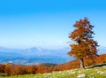 Colorful mountain landscape in sunny autumn day. View from Serra Di Crispo, Pollino National Park, southern Apennine Mountains, It Royalty Free Stock Photo
