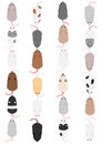 Colorful mouse in rows, top view Royalty Free Stock Photo