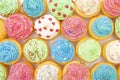 Colorful muffins photographed from above Royalty Free Stock Photo