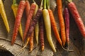 Colorful Multi Colored Raw Carrots Royalty Free Stock Photo
