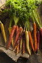 Colorful Multi Colored Raw Carrots Royalty Free Stock Photo