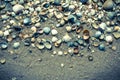 Sea postcard. Seashells and sandy beach Royalty Free Stock Photo