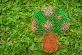 Colorful mushroom on green grass handmade with plastic straw.