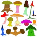 Colorful Mushrooms are different in shape and type