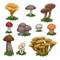 Colorful mushrooms set