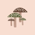 Colorful mushrooms hand drawn vector illustration. Amanita in flat style for logo or icon.