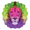 The colorful muzzle lion vector illustration with high-detailed eyes, consisting of triangles. Low poly design