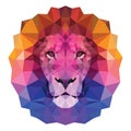 The colorful muzzle lion vector illustration with high-detailed eyes, consisting of triangles. Low poly design