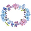 Colorful myosotis. Floral botanical flower. Frame border ornament square.