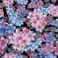 Colorful myosotis. Floral botanical flower.Seamless background pattern.