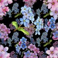 Colorful myosotis. Floral botanical flower.Seamless background pattern.