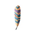 Colorful native traditional indian design of bird feather