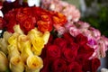 Colorful fresh roses at florist shop