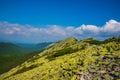 Colorful natural summer landscape in the Carpathian mountains. Landscape of summer mountains for wallpaper Royalty Free Stock Photo