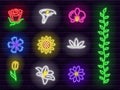 Collection of colorful neon flowers and entertainment font and icons Royalty Free Stock Photo