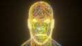 Colorful neon head, computer generated. 3d rendering abstract background from thin lines